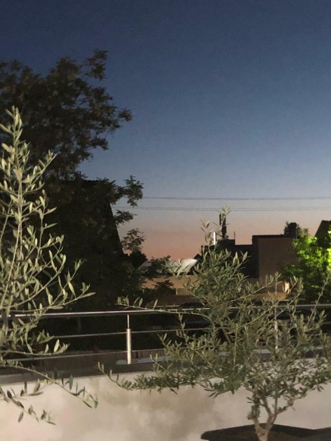 Hotel Sonnenhof شيندلفينجن المظهر الخارجي الصورة